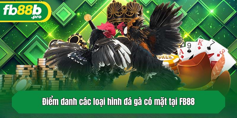 Điểm danh các loại hình chọi kê có mặt tại FB88