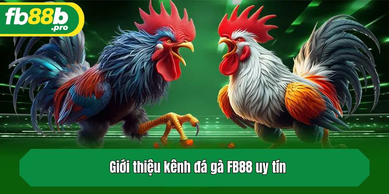 Giới thiệu kênh đá gà FB88 uy tín
