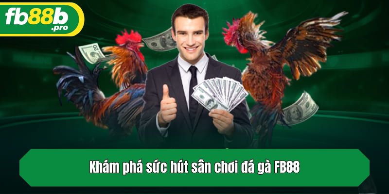 Khám phá sức hút sân chơi đá gà FB88