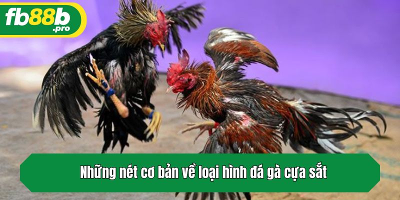 Những nét cơ bản về loại hình đá gà cựa sắt